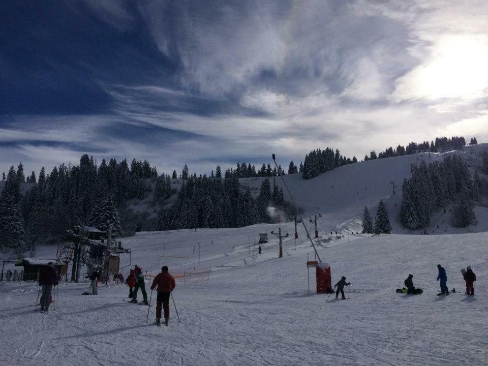 Chalet Serin Saint-Jean-dʼAulps Extérieur photo
