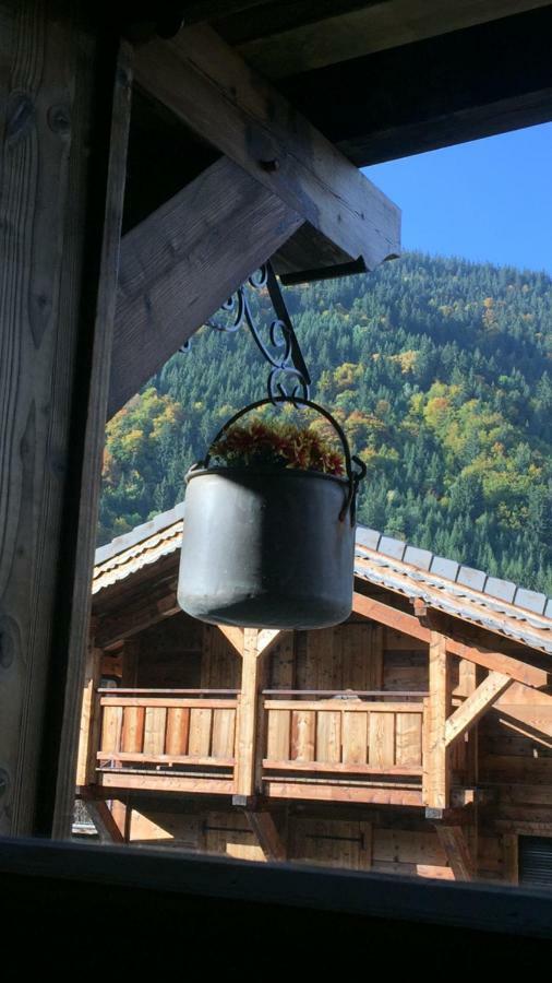 Chalet Serin Saint-Jean-dʼAulps Extérieur photo