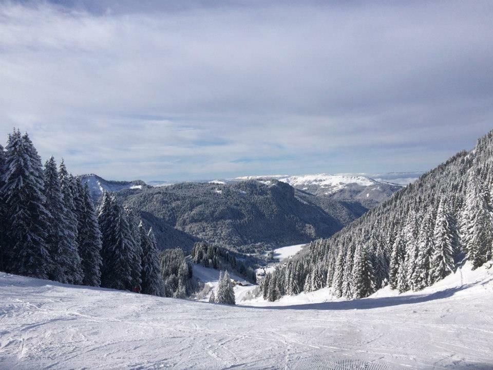 Chalet Serin Saint-Jean-dʼAulps Extérieur photo